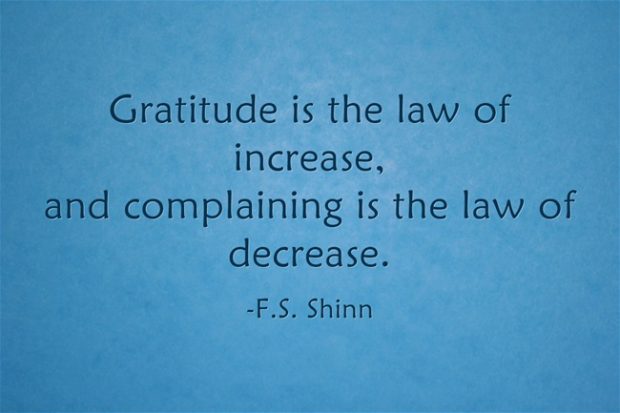 gratitude-is-the-law-of